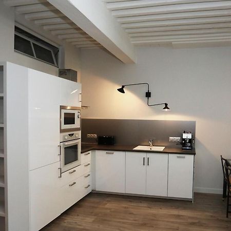 55 M2 Apart With Big Terrace In Annecy Downtown 외부 사진
