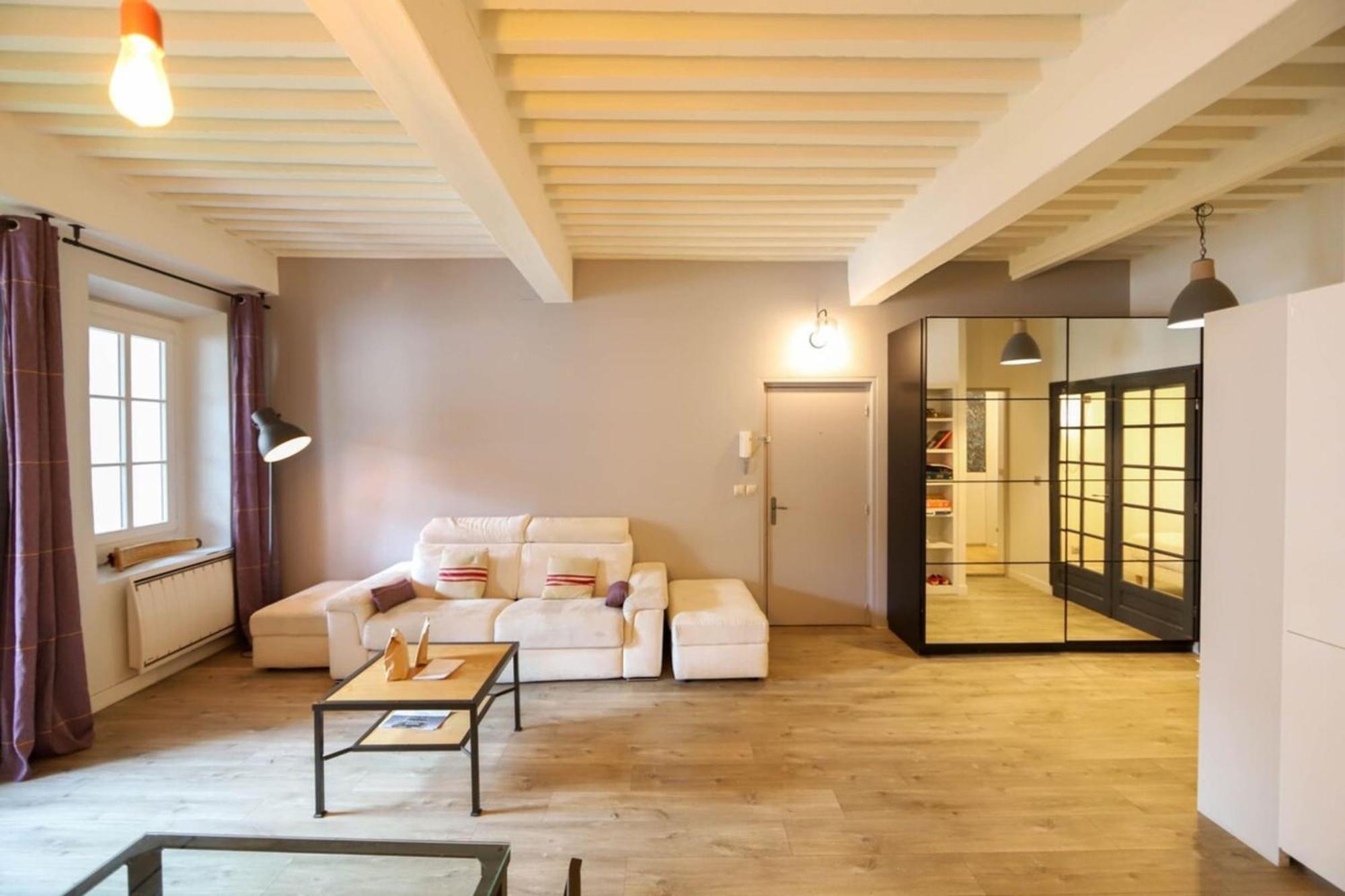 55 M2 Apart With Big Terrace In Annecy Downtown 외부 사진