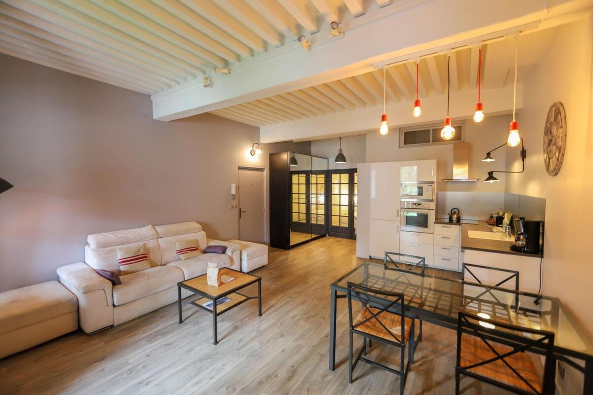55 M2 Apart With Big Terrace In Annecy Downtown 외부 사진